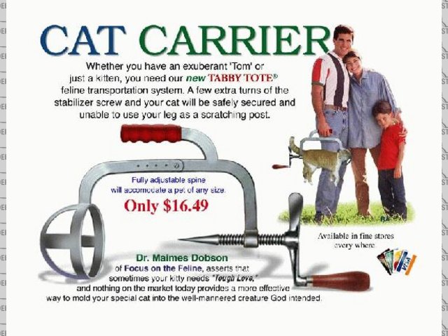 Rescued attachment cat carrier.jpg